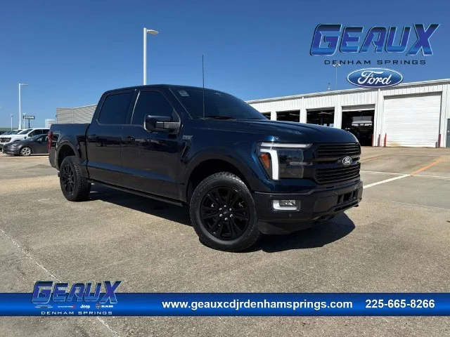 Used 2024 Blue Ford Platinum image 1