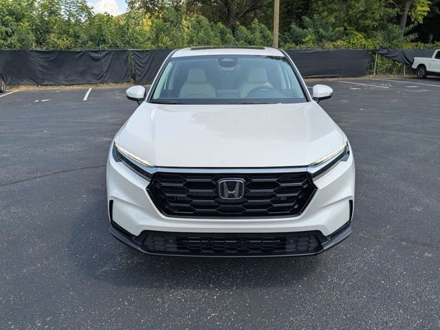 New 2026 Platinum White Pearl Honda EX-L image 3