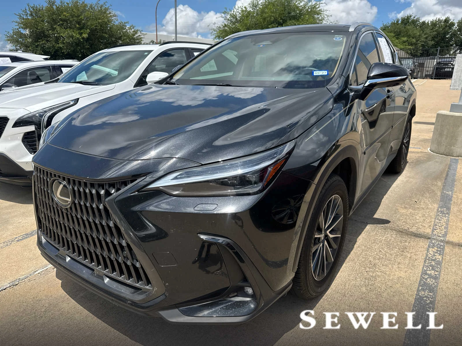 2025 Lexus NX 350 350 Luxury AWD's photo