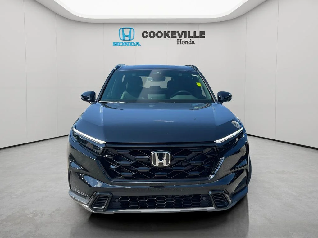 Used 2026 Black Honda Sport-L image 3