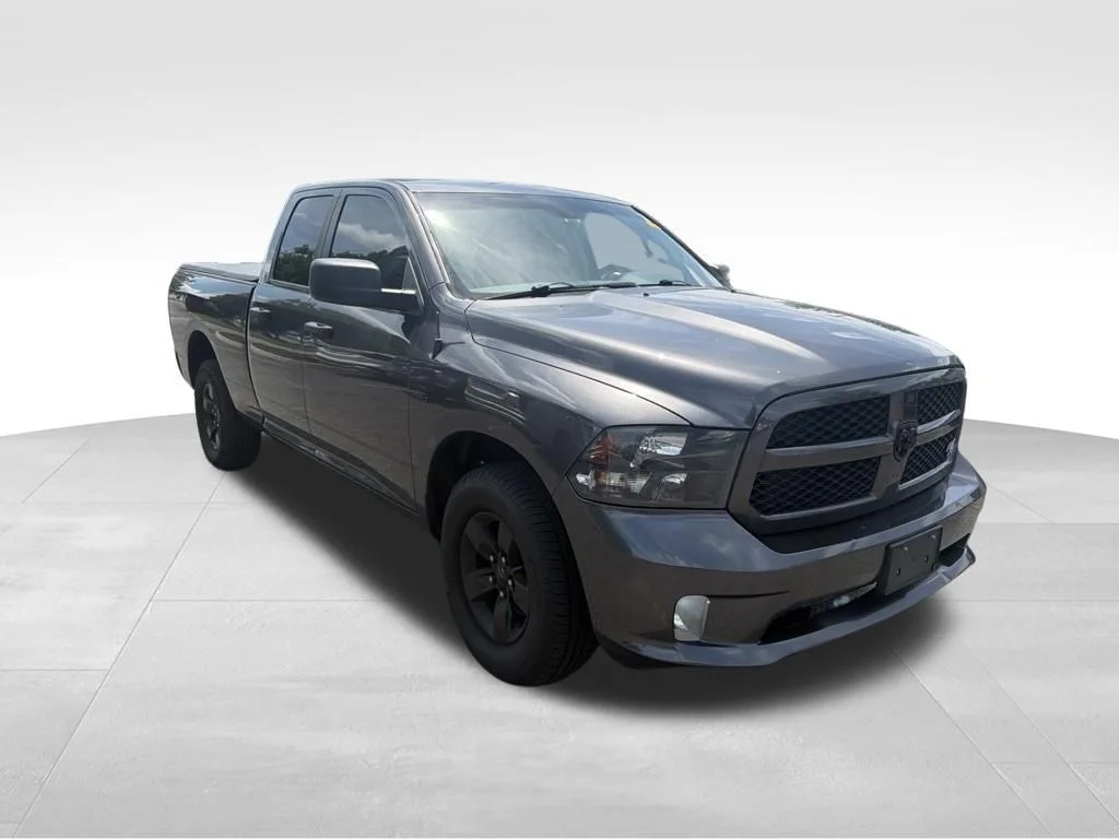 Used 2019 Gray Ram Express image 3