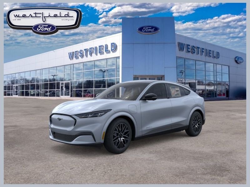 New 2026 Glacier Gray Metallic Tri-coat Ford Premium image 1