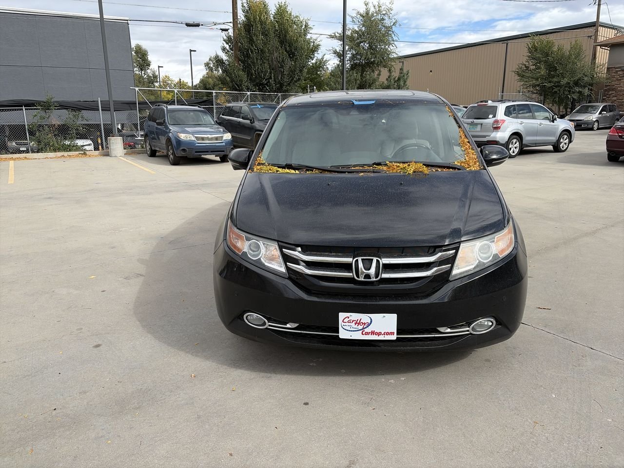 2015 Honda Odyssey Touring photo 3