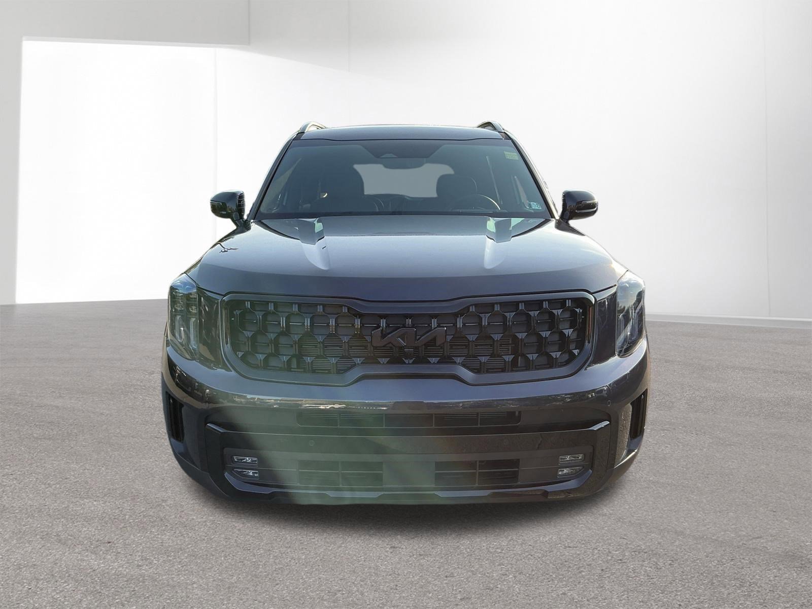 2025 Kia Telluride SX Prestige X-Line - Photo 8