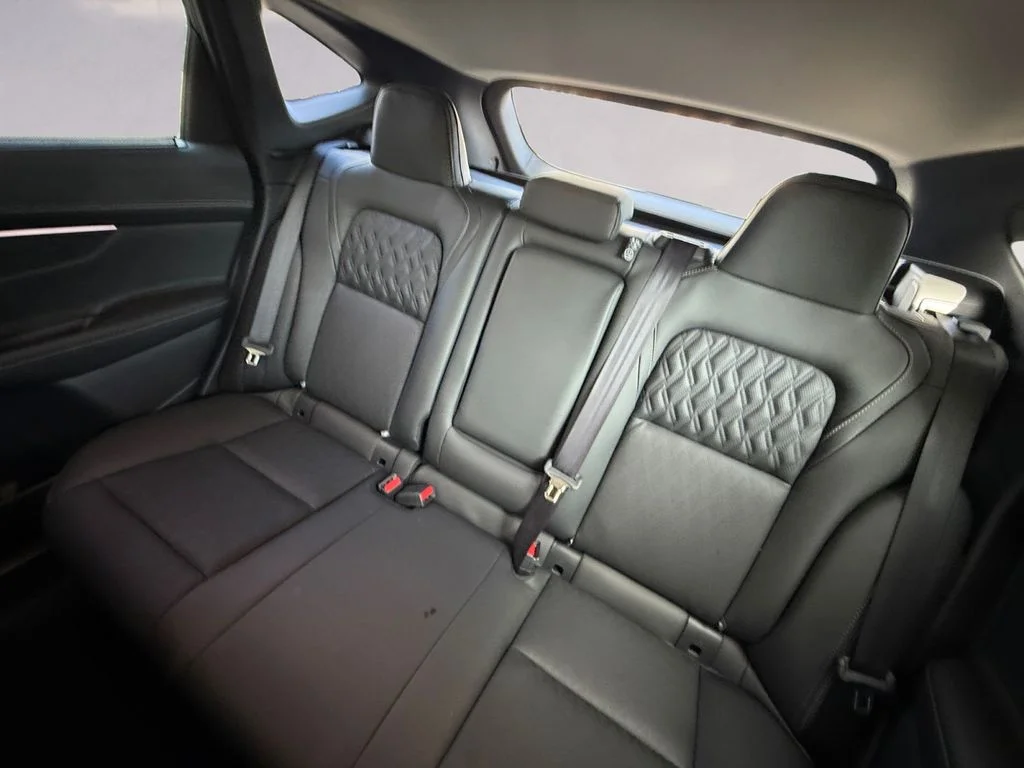 New 2026 Black Nissan Platinum image 16