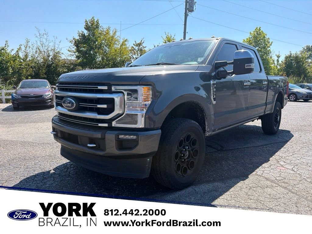 Used 2020 Magnetic Ford Platinum image 1