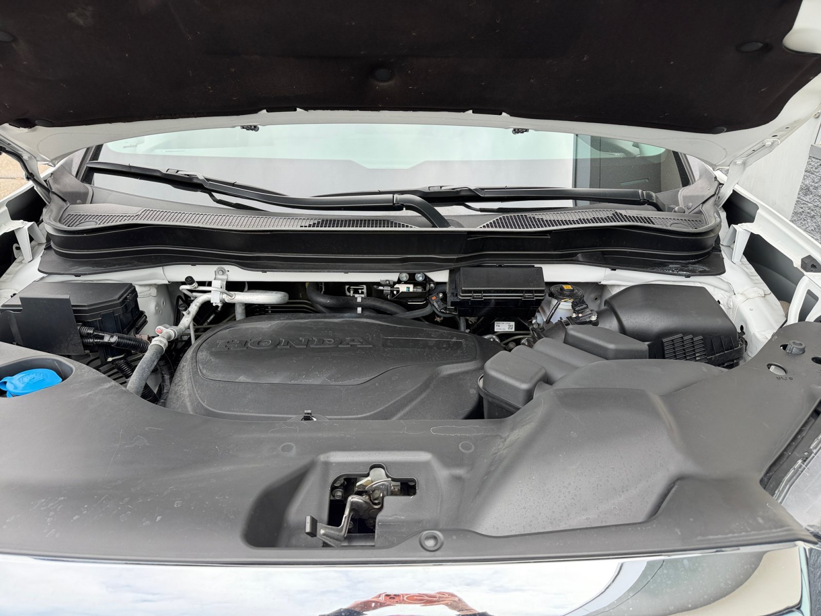 Used 2025 White Honda RTL image 6