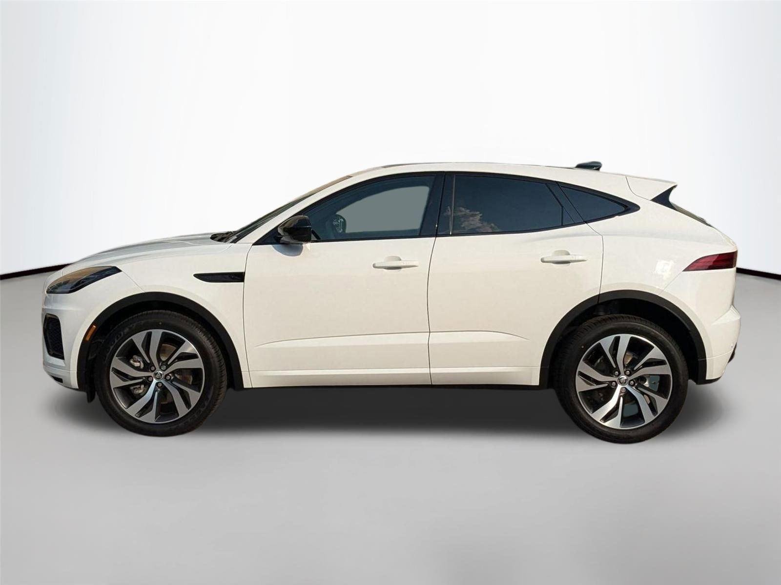 Used 2024 WHITE JAGUAR  image 8