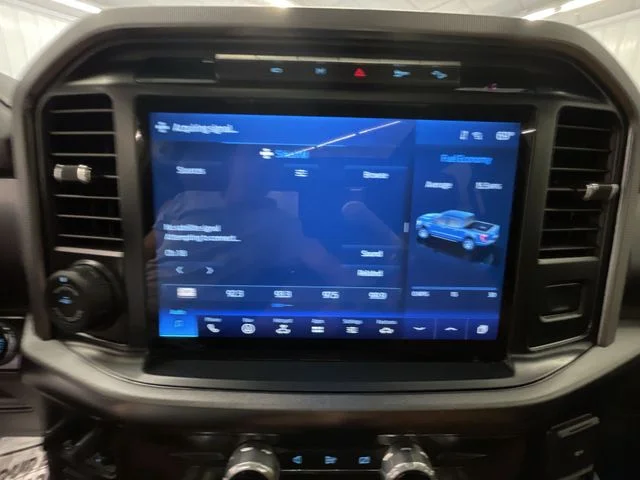 Used 2022 Star White Ford Platinum image 16