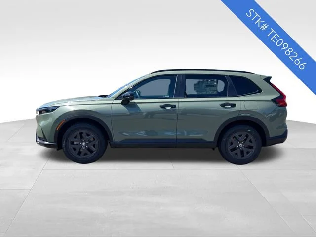 New 2026 Ash Green Metallic Honda TrailSport image 4