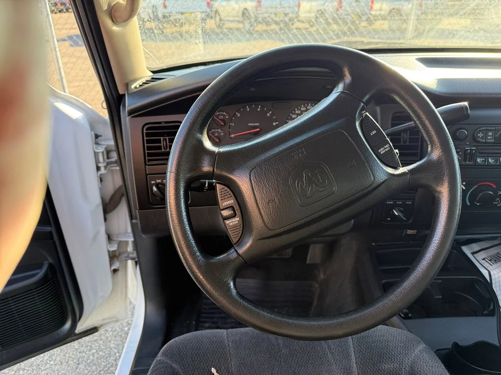 Used 2002 White Dodge Base image 8