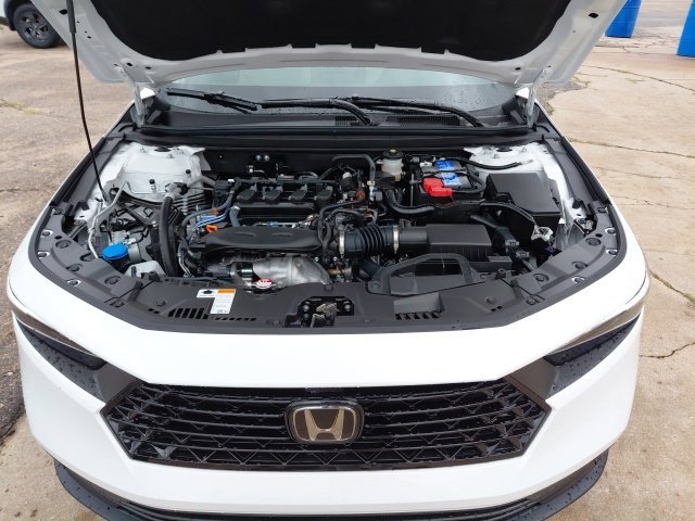 New 2026 Platinum White Pearl Honda SE image 36