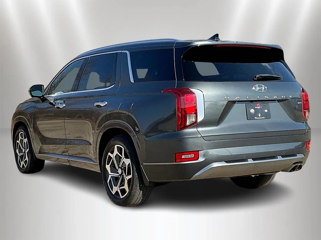 Used 2022 Rainforest Hyundai Calligraphy image 4