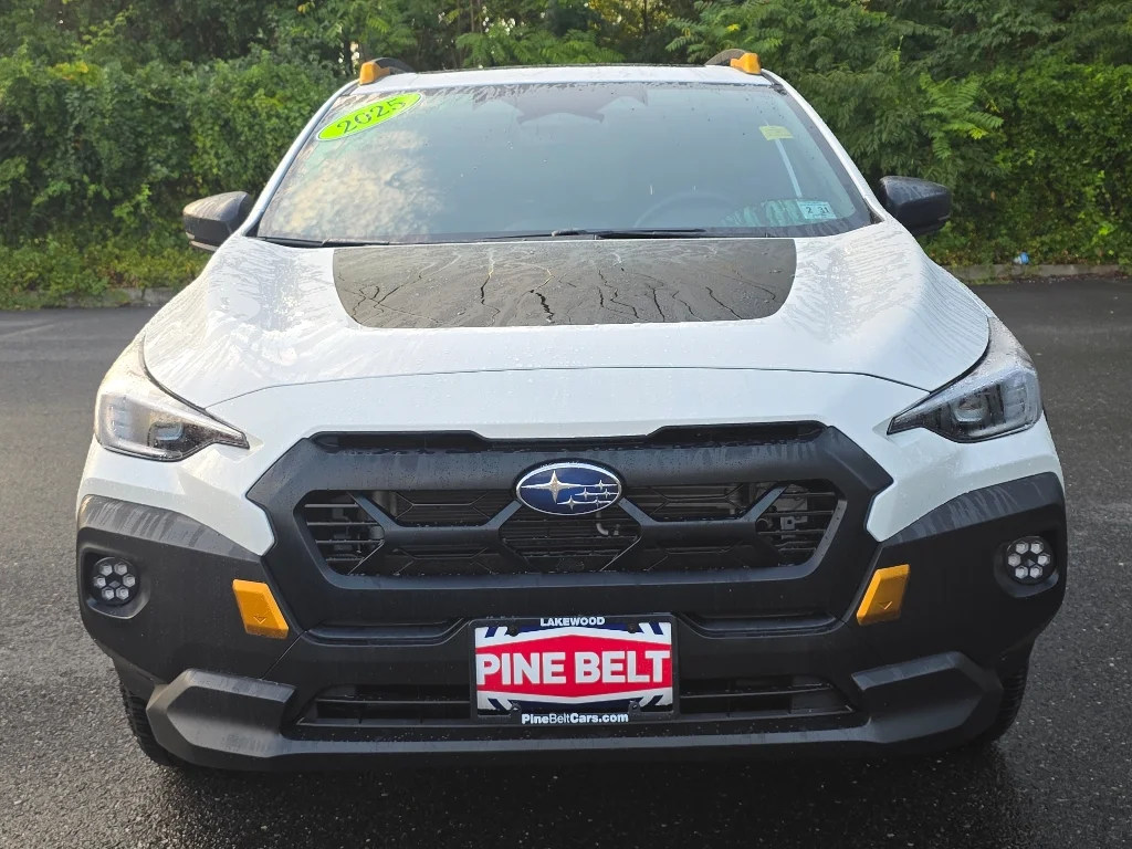 2025 Subaru Crosstrek Wilderness - Photo 10