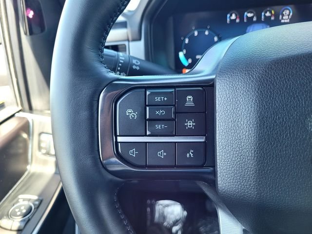 Used 2025 Silver Ford Platinum image 24