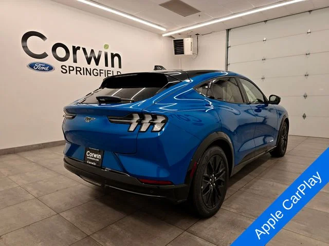 New 2026 Velocity Blue Metallic Ford Premium image 5