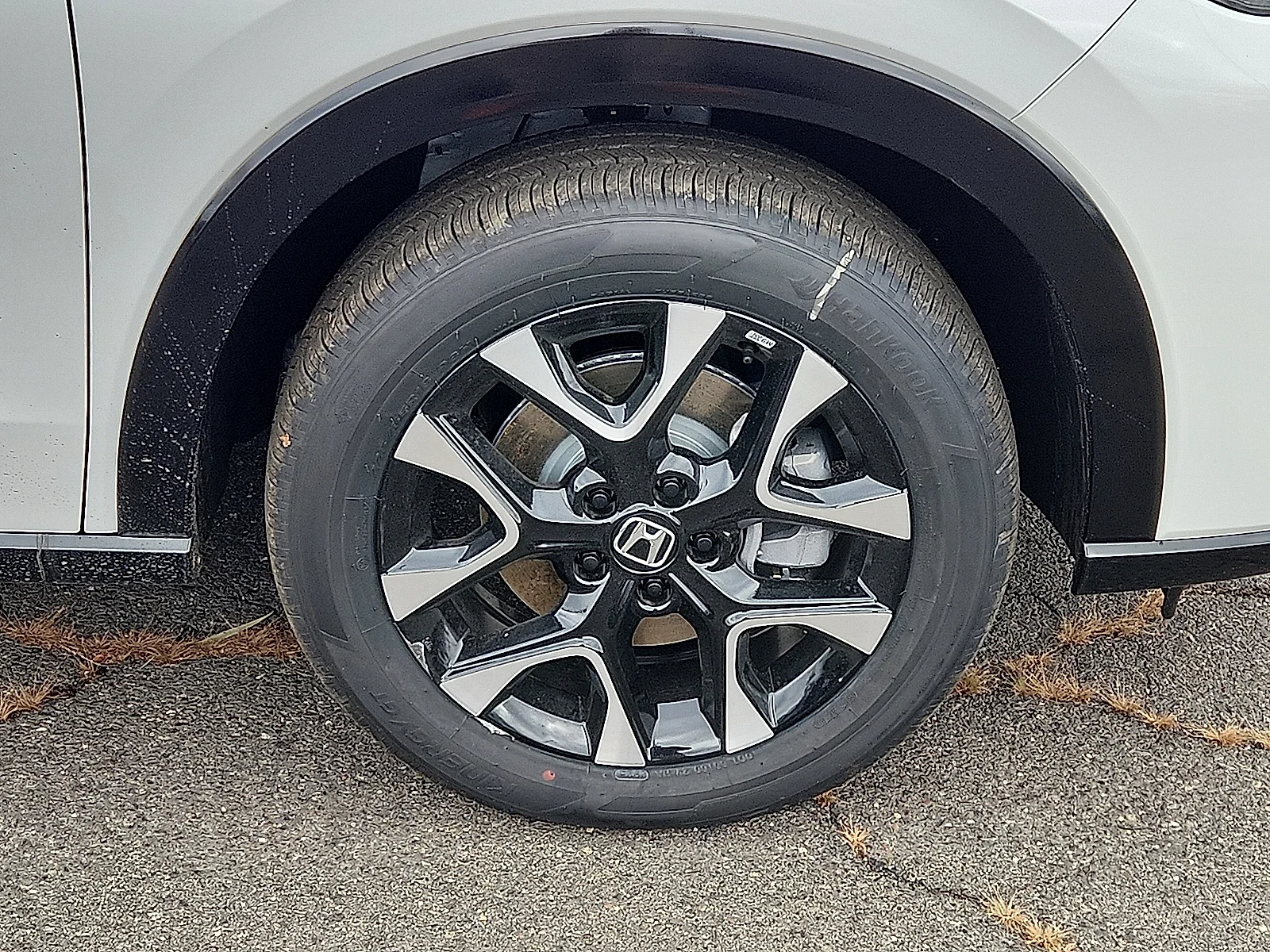 New 2027 Platinum White Pearl Honda EX- AWD image 5