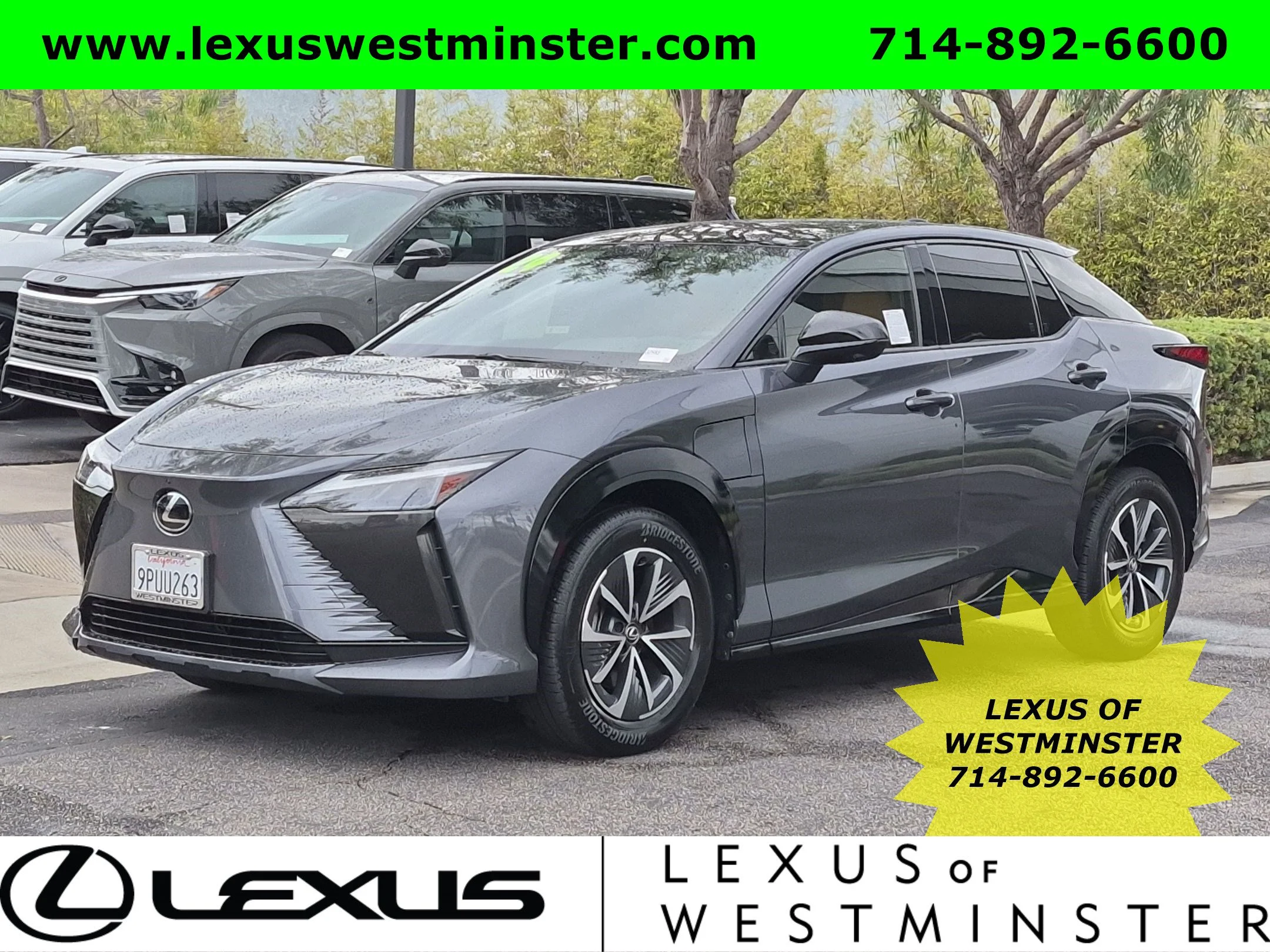 2024 Lexus RZ Premium