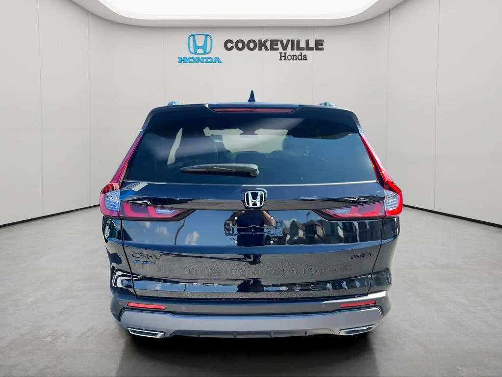 Used 2026 Black Honda Sport-L image 5