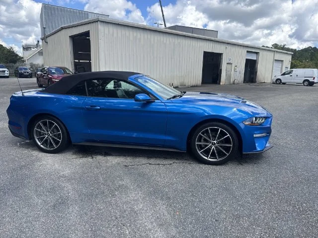 Used 2019 Blue Ford EcoBoost Premium image 4