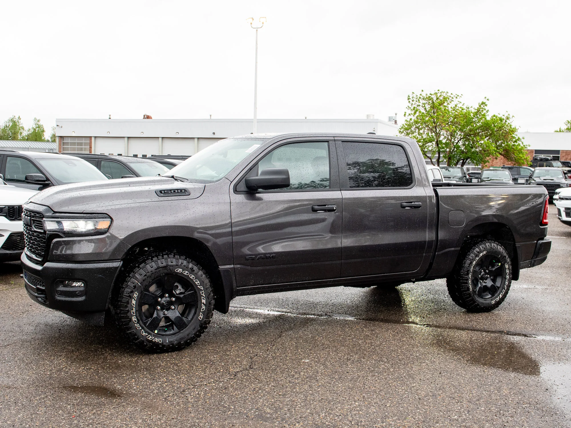 New 2026 Grey RAM Warlock* image 3