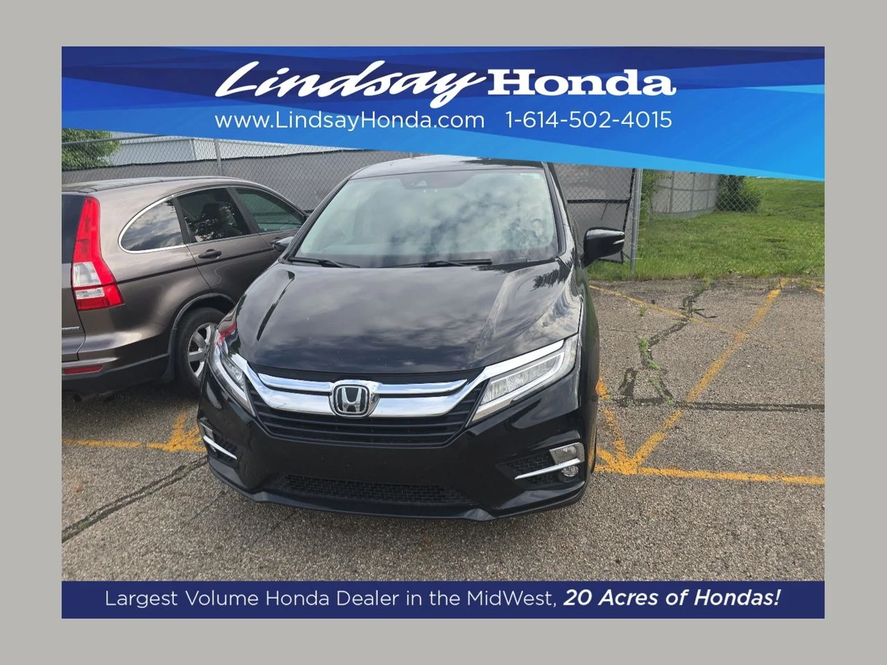 2019 Honda Odyssey Elite's photo