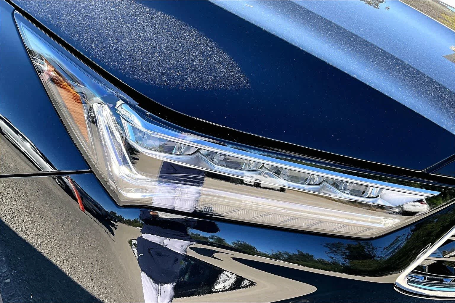 Used 2026 Majestic Black Pearl Acura w/Technology Package image 13