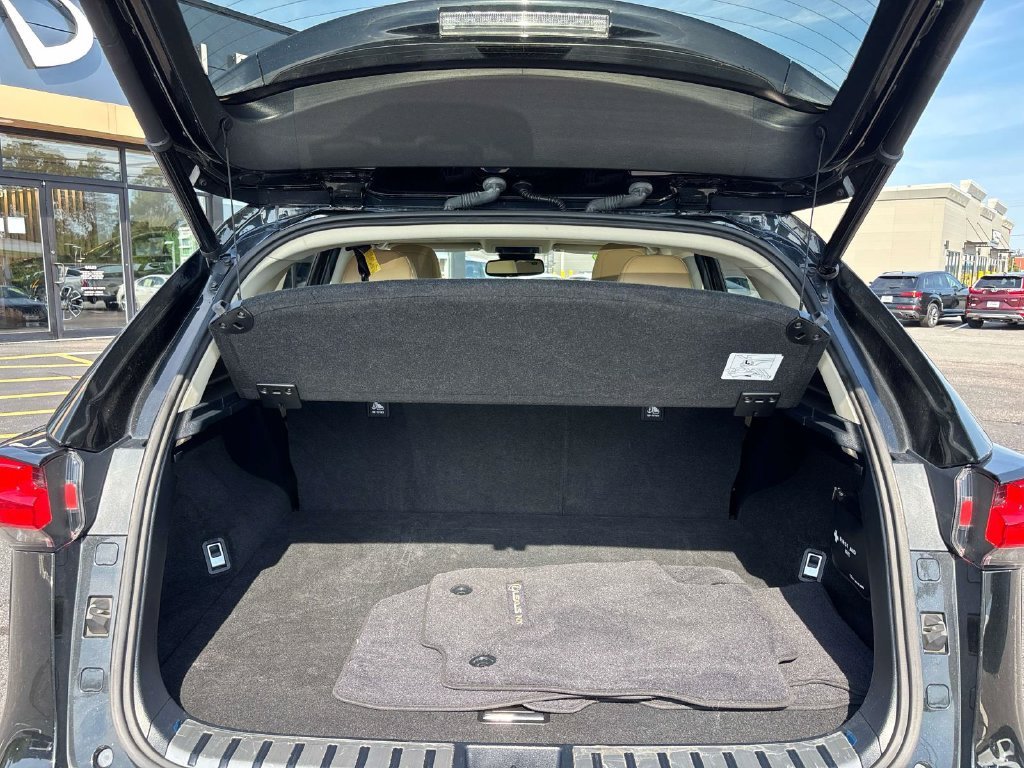 Used 2021 Black Lexus 300 Base image 13