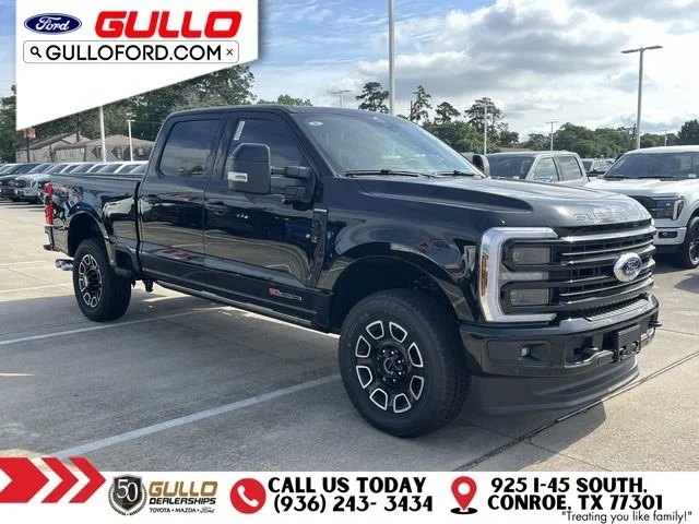 New 2026 Agate Black Metallic Ford Platinum image 1