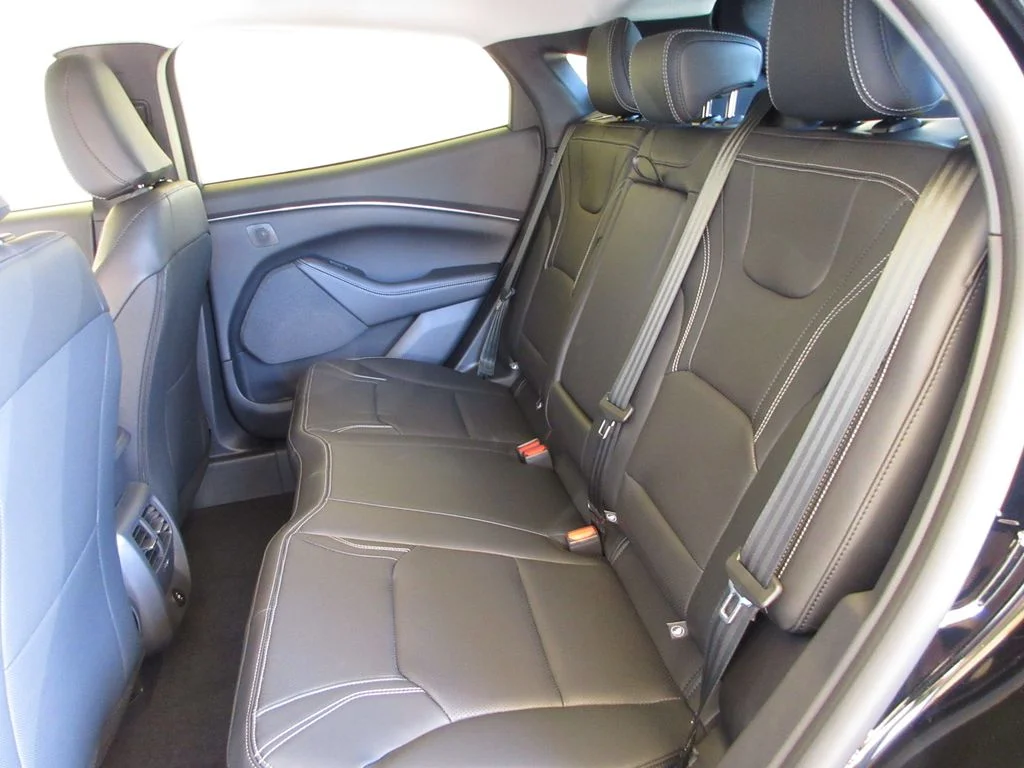New 2026 Shadow Black Ford Premium image 24