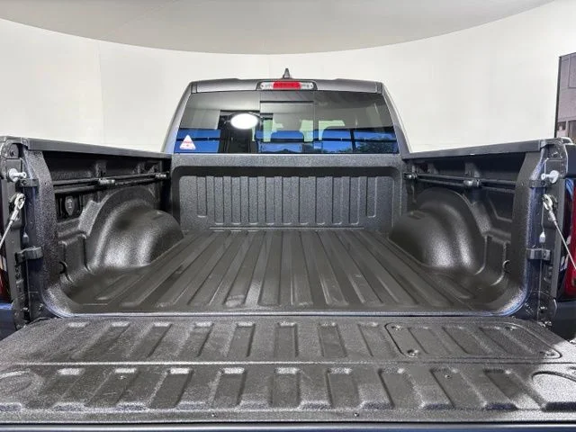 New 2026 Gray Ram Rebel image 9