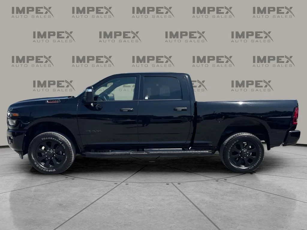 Used 2025 Black Ram Big Horn image 2