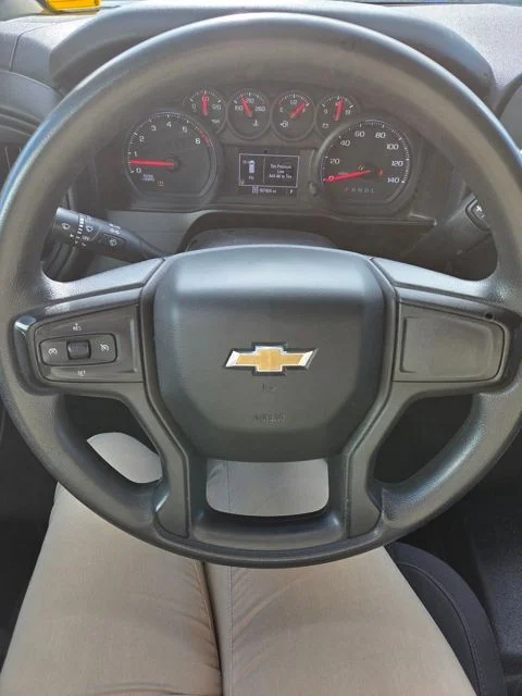 Used 2019 Summit White Chevrolet WT image 22