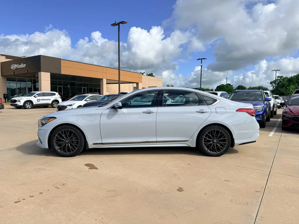 Used 2020 Siberian Ice Genesis 3.8L image 9