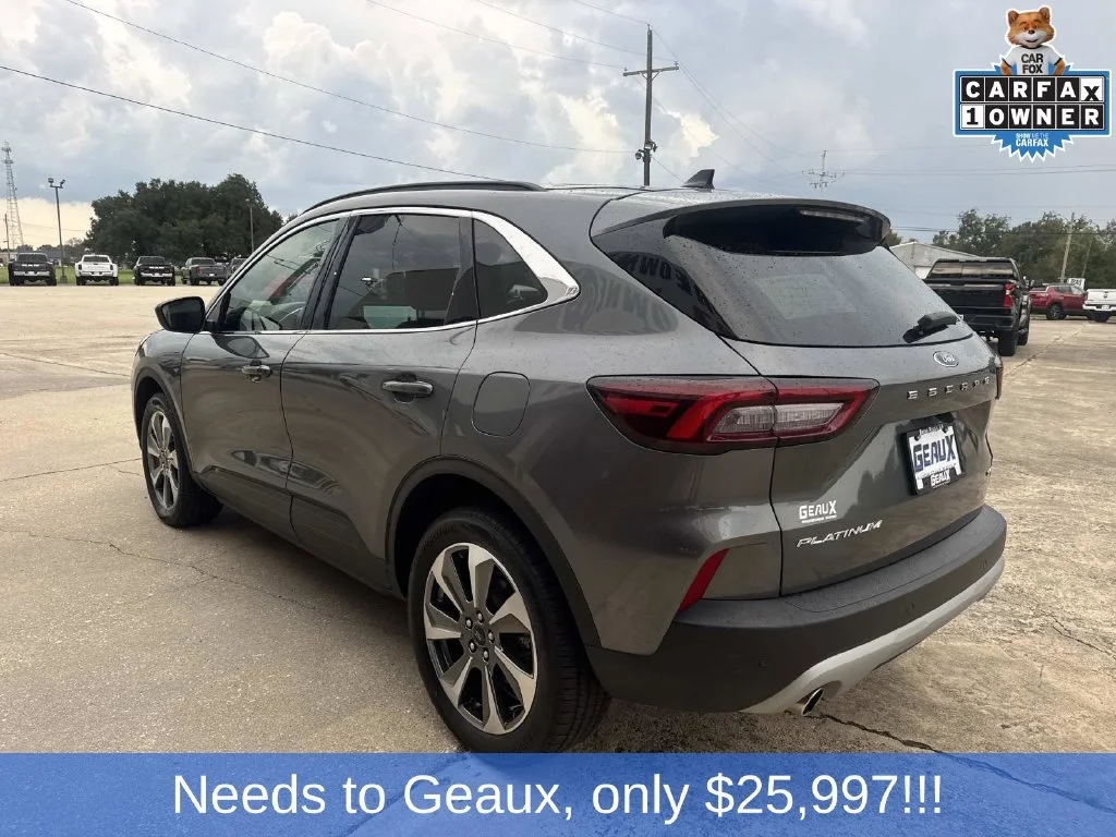 Used 2025 Gray Ford Platinum image 9