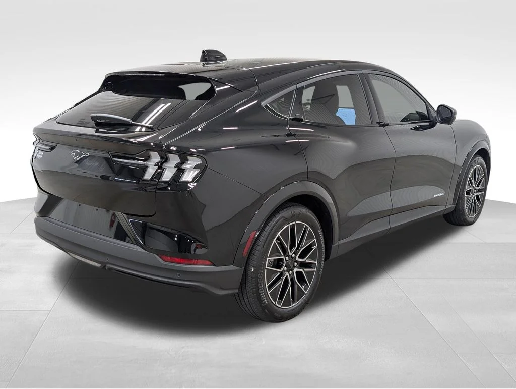New 2026 Shadow Black Ford Premium image 20