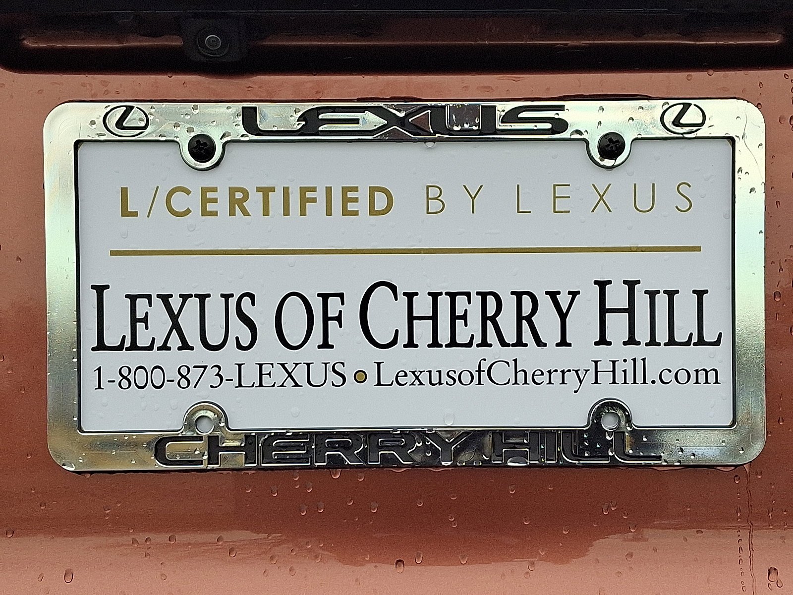 2025 Lexus RX 350 - Photo 30