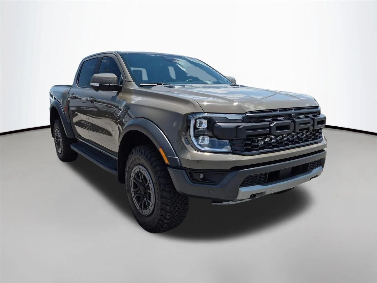 Used 2025 Marsh Gray Ford Raptor image 3