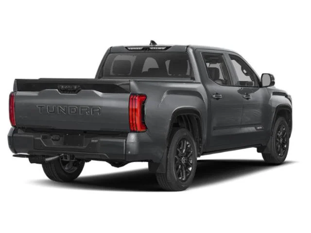 New 2026 Magnetic Gray Metallic Toyota Platinum image 2