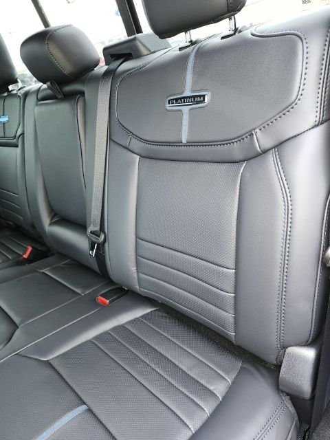 2025 Ford F-150 Platinum - Photo 52