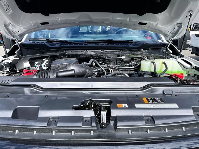 New 2026 White Ford Platinum image 12