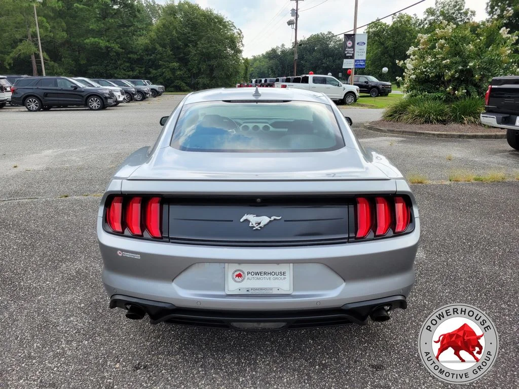 Used 2023 Silver Ford EcoBoost Premium image 4