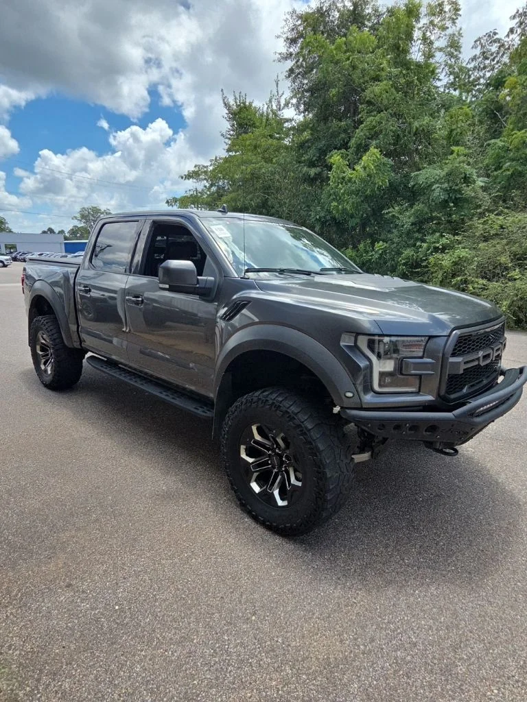 Used 2019 Gray Ford Raptor image 15