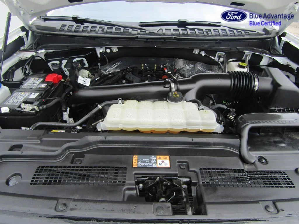 Certified Used 2025 Star White Ford Active image 15