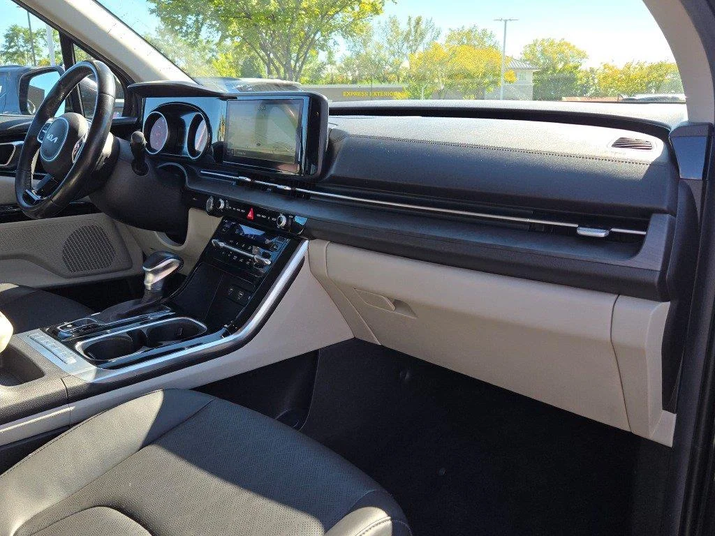 Used 2022 Panthera Metal Kia EX image 5