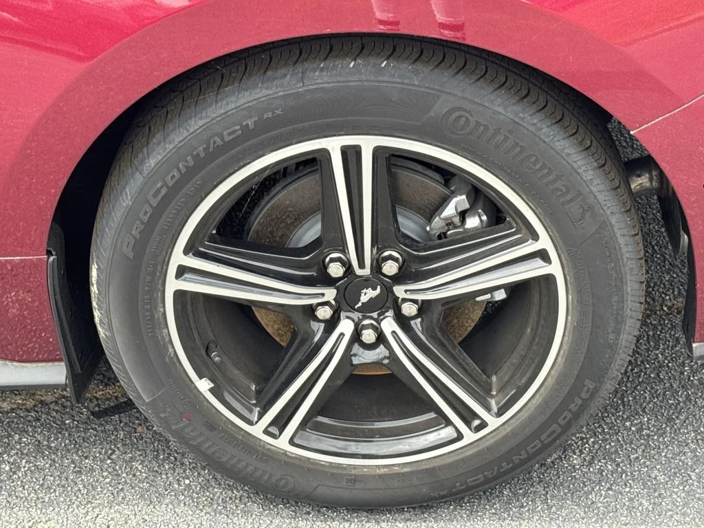 New 2025 Red Ford EcoBoost image 17
