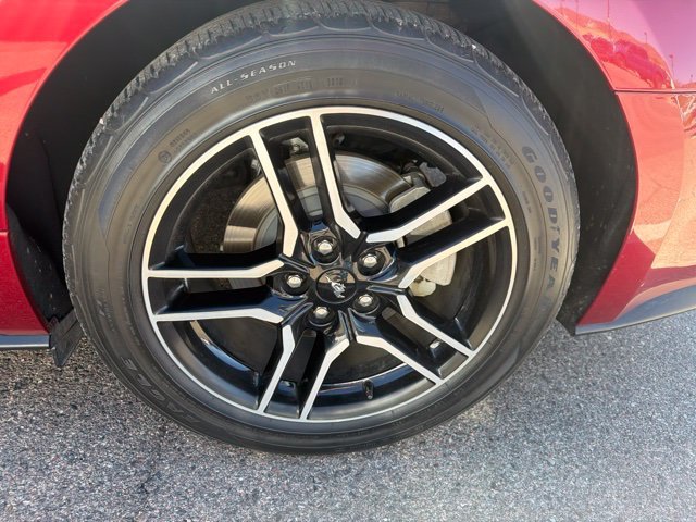 Used 2019 Ruby Red Metallic Ford EcoBoost image 22