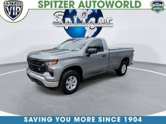 Used 2025 Gray Chevrolet WT image 8