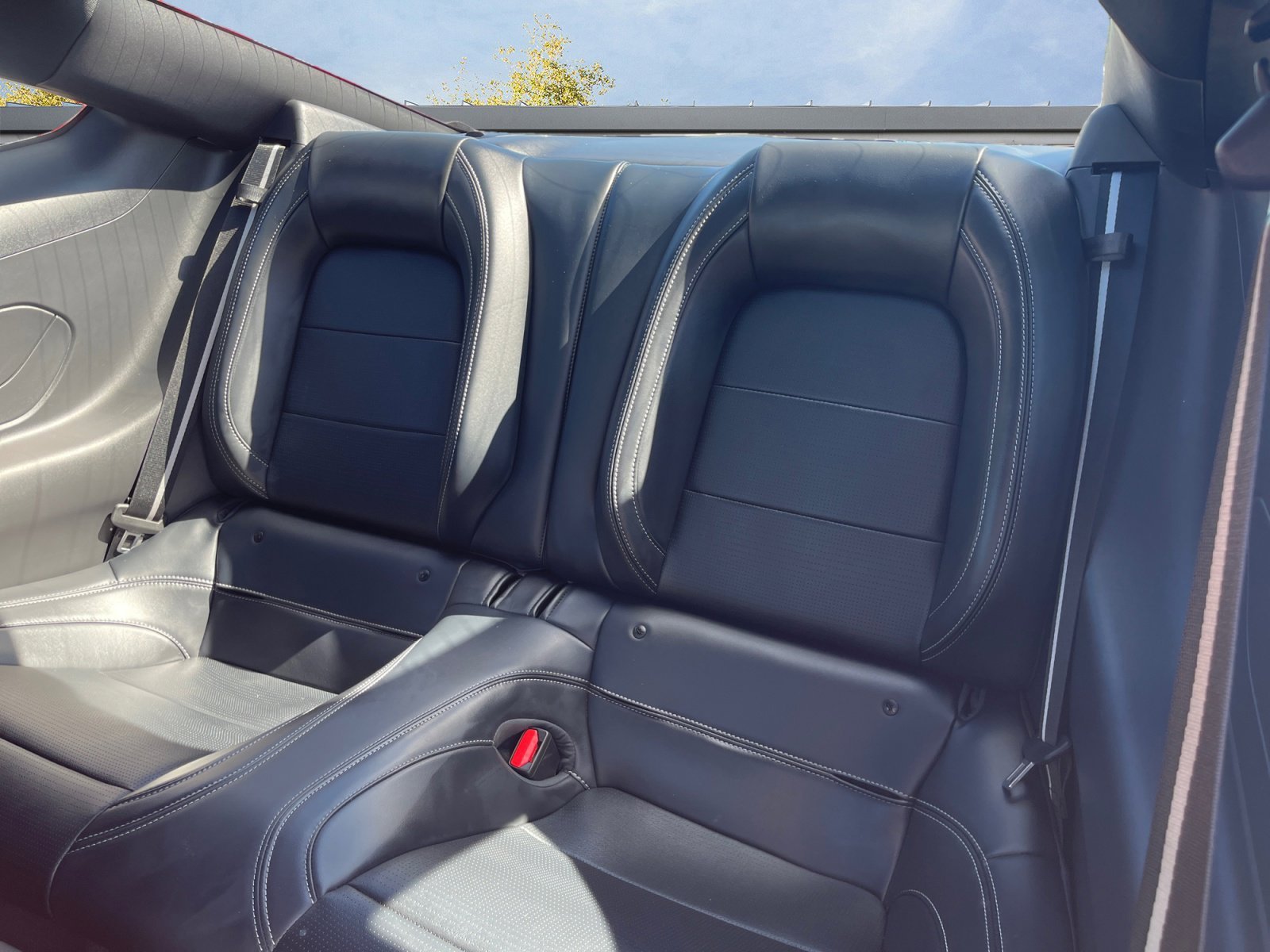 2024 Ford Mustang GT Premium - Photo 13