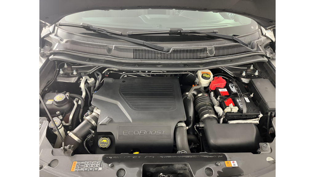 Used 2018 Magnetic Ford Platinum image 19